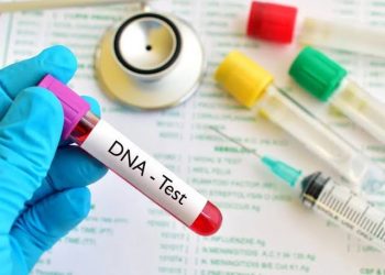 7 Things You Should Know About Paternity DNA Testing