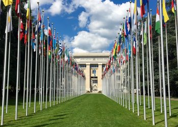 Yoruba elders in Europe, America write UN on genocide in Nigeria