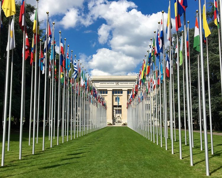 Yoruba elders in Europe, America write UN on genocide in Nigeria