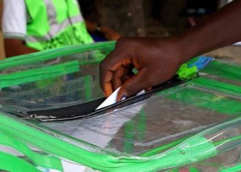 48 political parties disown IPAC, insist on court case to stop Delta council polls