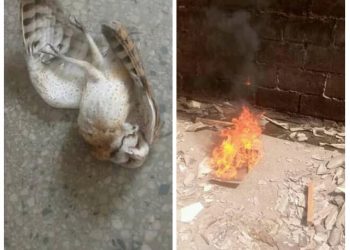 CDHR leadership crisis goes spiritual, expelled National Vice President, Taiga cries out as he discovers Owl in office