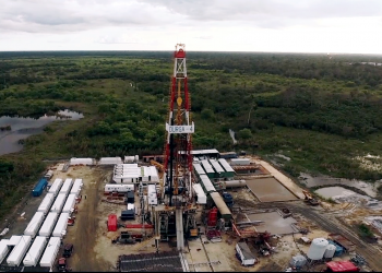 Okia community in Delta is host to SEEPCO – Gbeneyei warns trespassers