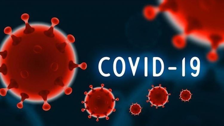 Is Covid-19 a rich man’s disease?