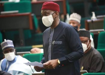 Shoot-On-Sight: Nigerians should hear from Buhari, not Garba Shehu – Elumelu