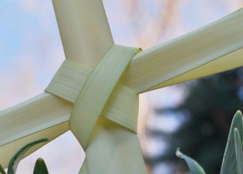 Christians celebrate Palm Sunday