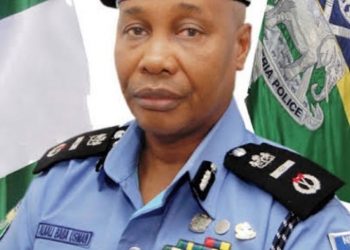 Things you should know about Acting IGP, Usman Alkali Baba