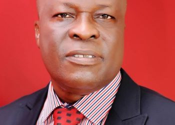 Uviejitobor assures constituents of robust representation as DTHA marks anniversary