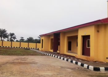 NGC hands over civic, health centres to two Edo communities