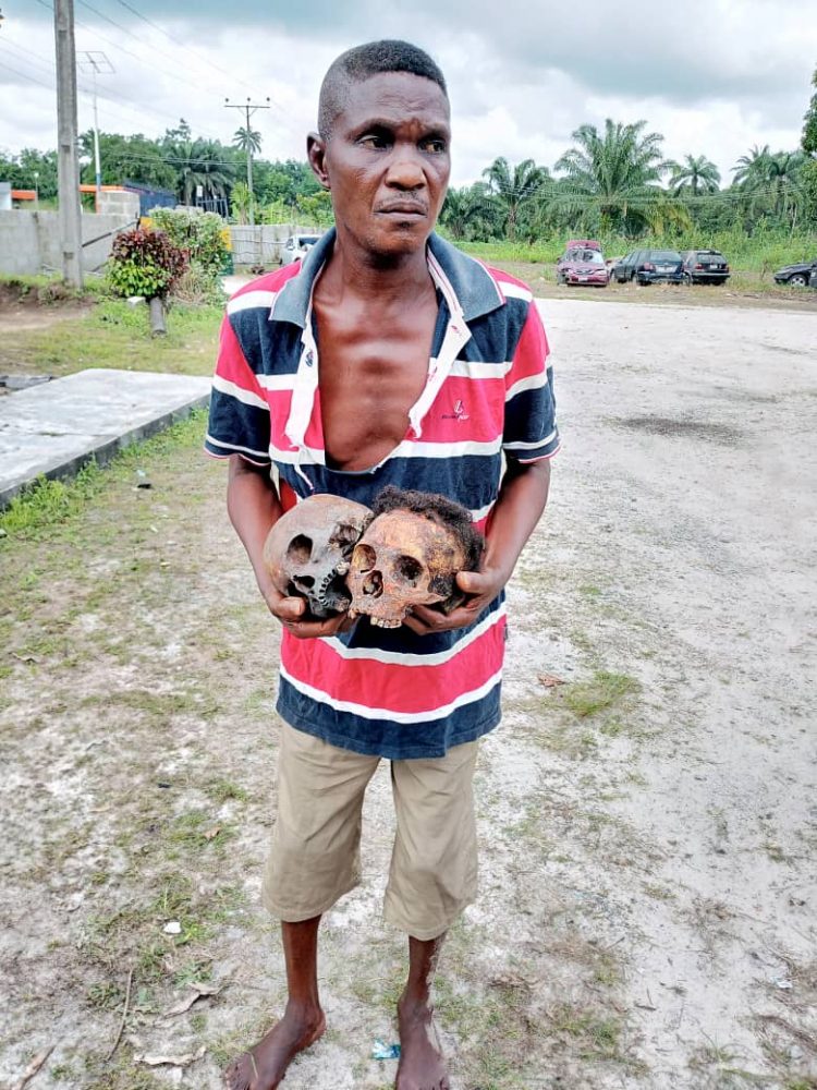 Police nab native doctor with skull of 65yrs old woman, 3 suspects with container filled with fresh human blood in Delta