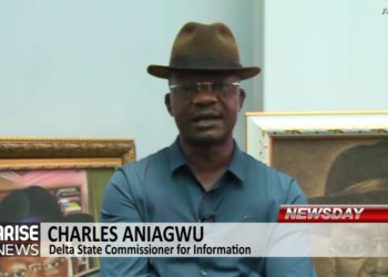 Aniagwu hits Nwaoboshi hard for daring Okowa