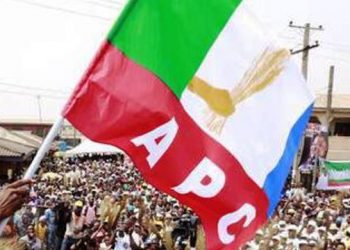 Keyamo, Ogboru, fingered in plot to use Delta APC agents to sack Buni