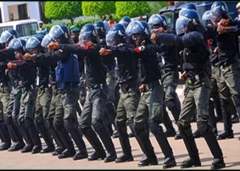 Police in Edo rescue 6 female teenagers from human traffickers