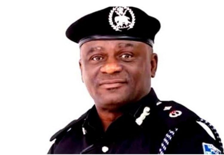 Tunji Disu replaces Abba Kyari as head of Police IRT