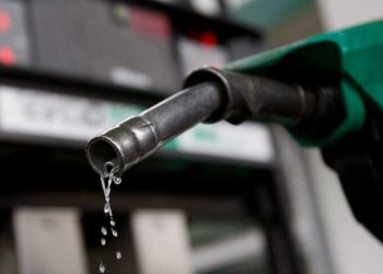 Subsidy will not be suddenly removed – Sylva