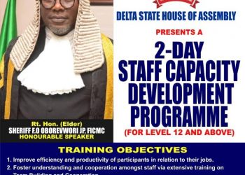 DTHA staff begin two-day capacity training Monday, August 16