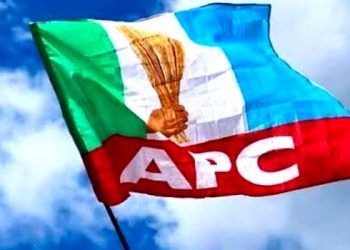 DELTA APC LGA CONGRESS: Appeal committee calls for submission of petitions