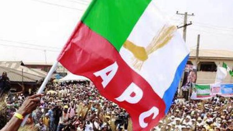 APC expels ex-Delta Deputy Chairman, Elvis Ayomanor