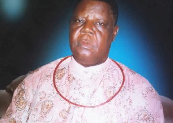 DELTA 2023: I don’t have ambition to be governor – Oguma