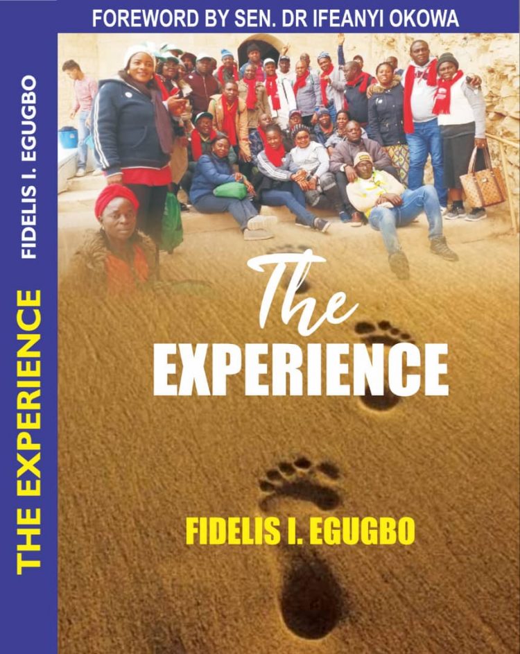 Okowa, Ihedioha, Elue, Obiosa, others for launch of book on pilgrimage