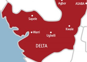 Man dies from attempt by group of boys to disarm police inspector in Delta