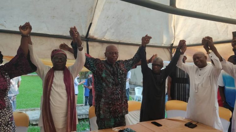 Mimiko’s party, ZLP collapses into PDP