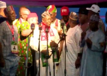 Iyorchia Ayu now PDP national chairman