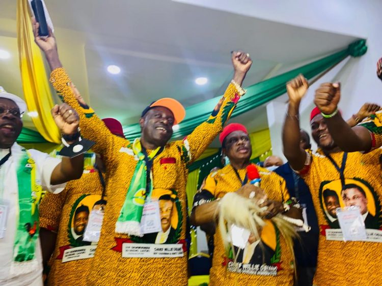 APGA consolidates hold on Anambra as Soludo wins guber poll