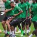 Super Eagles camp opens November 8 for 2022 WCQ