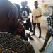 Niger Delta youths undergo two weeks capacity building workshop on petroleum engineering technology-related skills