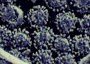 The Coronavirus Attacks Fat Tissue, Scientists Find