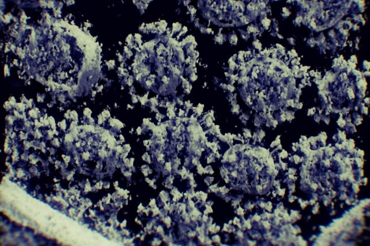 The Coronavirus Attacks Fat Tissue, Scientists Find