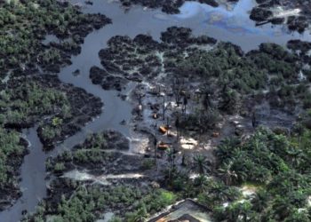 Mulade demands IOCs, FG remediation of degraded, polluted Niger Delta environment