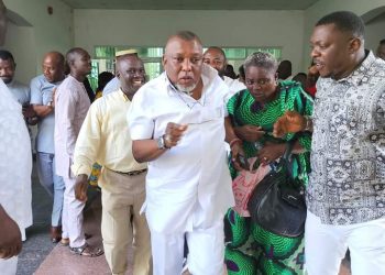 Court declares Tebite PDP candidate for Ughelli/Udu Federal Constituency