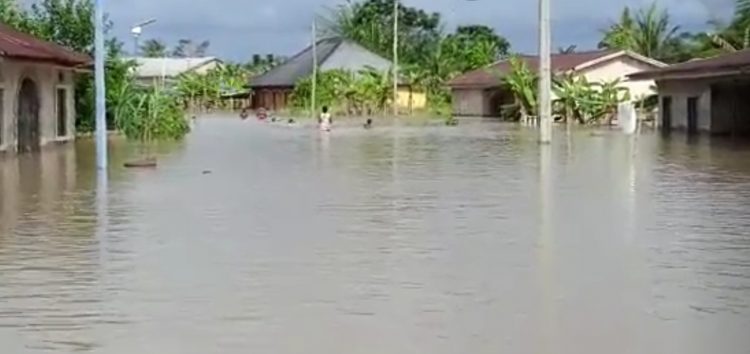 Flood ravages homes in Irri clan of Delta