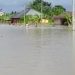 Flood ravages homes in Irri clan of Delta