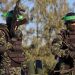 Turkish President says Hamas is not a terrorist organisation
