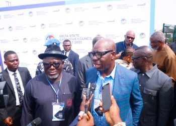 Delta, Edo, Ondo, Ekiti States plan to buy BEDC