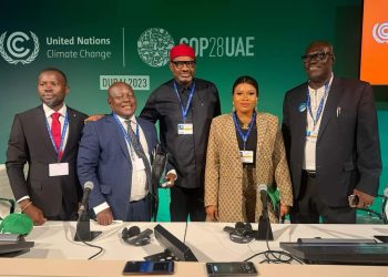 Delta solicits foreign partnerships for clean energy, climate change advocacy 