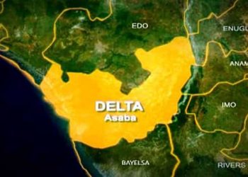 COMTOA begins collection of levies from motorcycle, tricycle riders in Delta Jan. 8