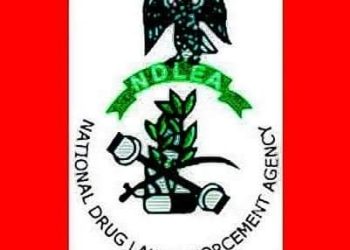 Delta gov’t to partner NDLEA on campaign against use of illegal drugs