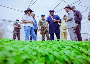The N2bn Oborevwori Special Agric Intervention Initiative