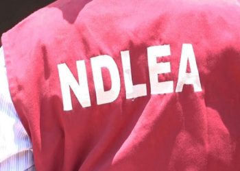 Youths in Borno drink fermented human urine to get intoxicated – NDLEA