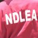 Youths in Borno drink fermented human urine to get intoxicated – NDLEA