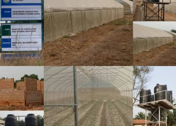 Governor Oborevwori Tackling Youth Unemployment Through Accelerated Agriculture Development Scheme (AADS)