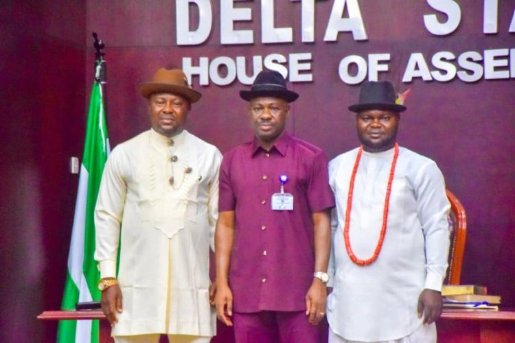Winners of Delta House of Assembly rerun election take oath of office