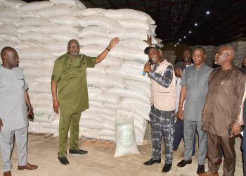 PALLIATIVES: Delta to deliver FG food items to vulnerable groups – SSG