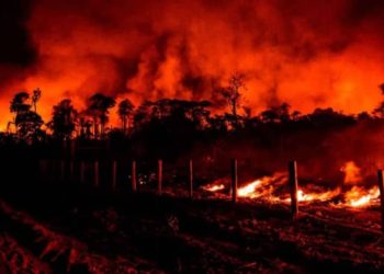 Disbelief, anguish as traders of Igbudu Market Warri lose goods worth millions to fire