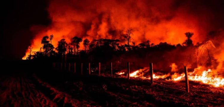 Disbelief, anguish as traders of Igbudu Market Warri lose goods worth millions to fire