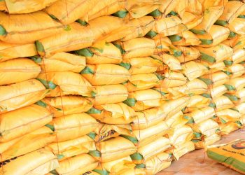 Senator Joel-Onowakpo distributes 432 bags of Urea fertilizers to farmers in Delta South