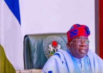 Tinubu vows to deal with perpetrators of violence in guise of hunger protest
